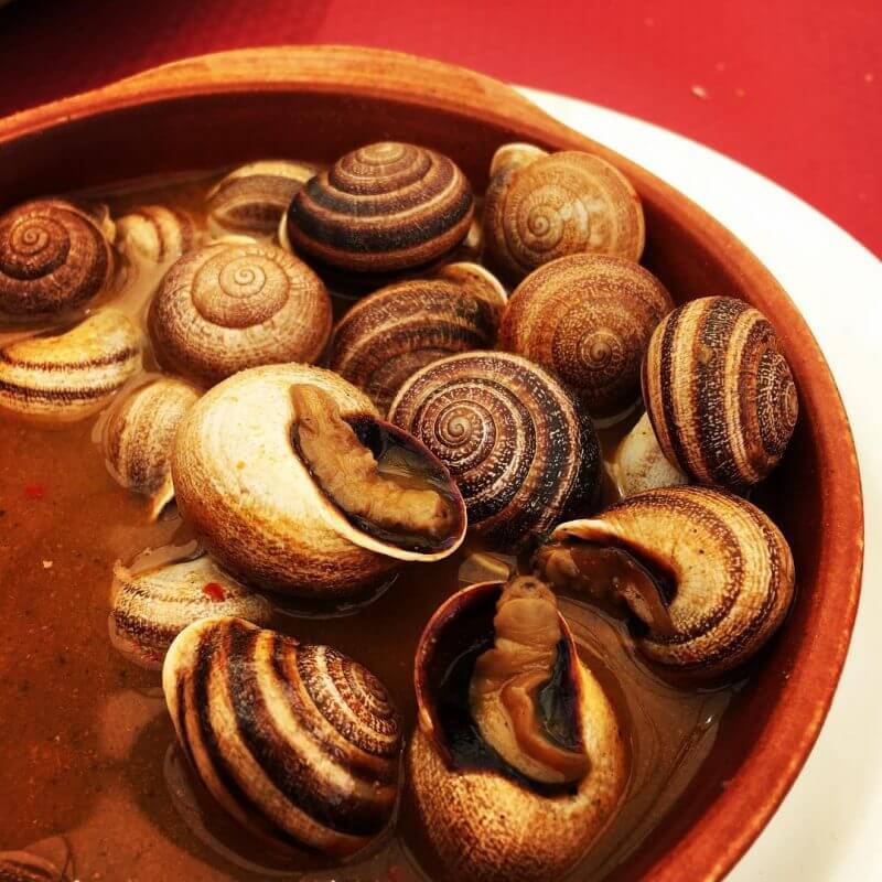 Los mejores caracoles de Granada: ¿Dónde degustar esta deliciosa tradición?