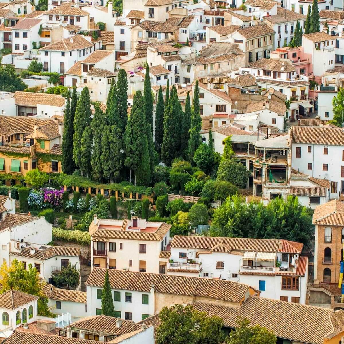 Descubre la belleza del Albaicín en Granada: guía turística completa